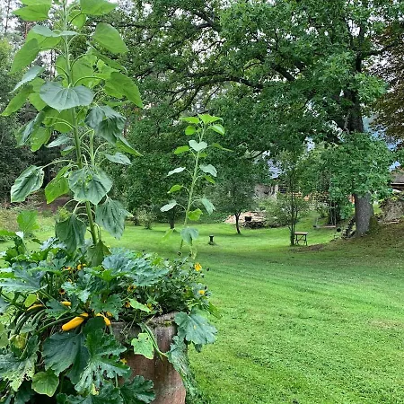 Adussoni In Lahemaa Holiday home Uuri