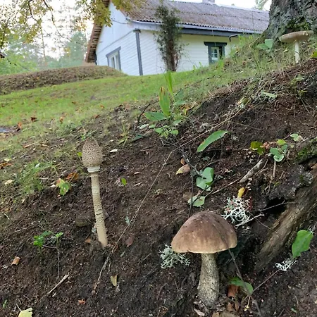 Holiday home Adussoni In Lahemaa Uuri